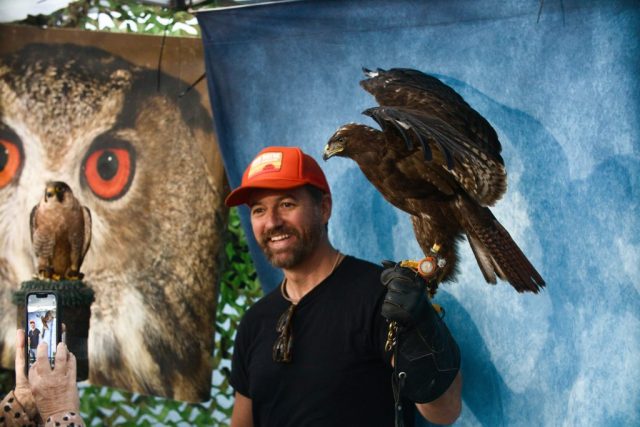 Caledonia County Fair – birds of prey – Andrew Bache of Mooretown and a Harris’s Hawk 1