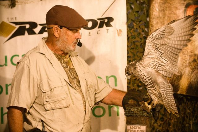 Caledonia County Fair – birds of prey – Jonathan Wood (falconer) Arctic Gyrfalcon