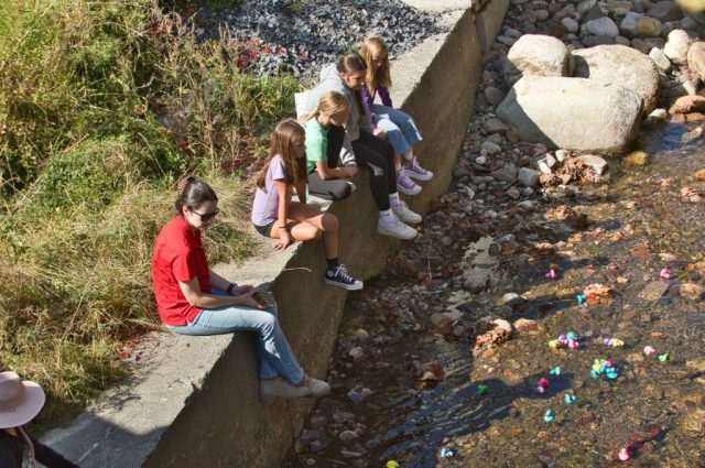 Burk Fall Festival – rubber duck race 1