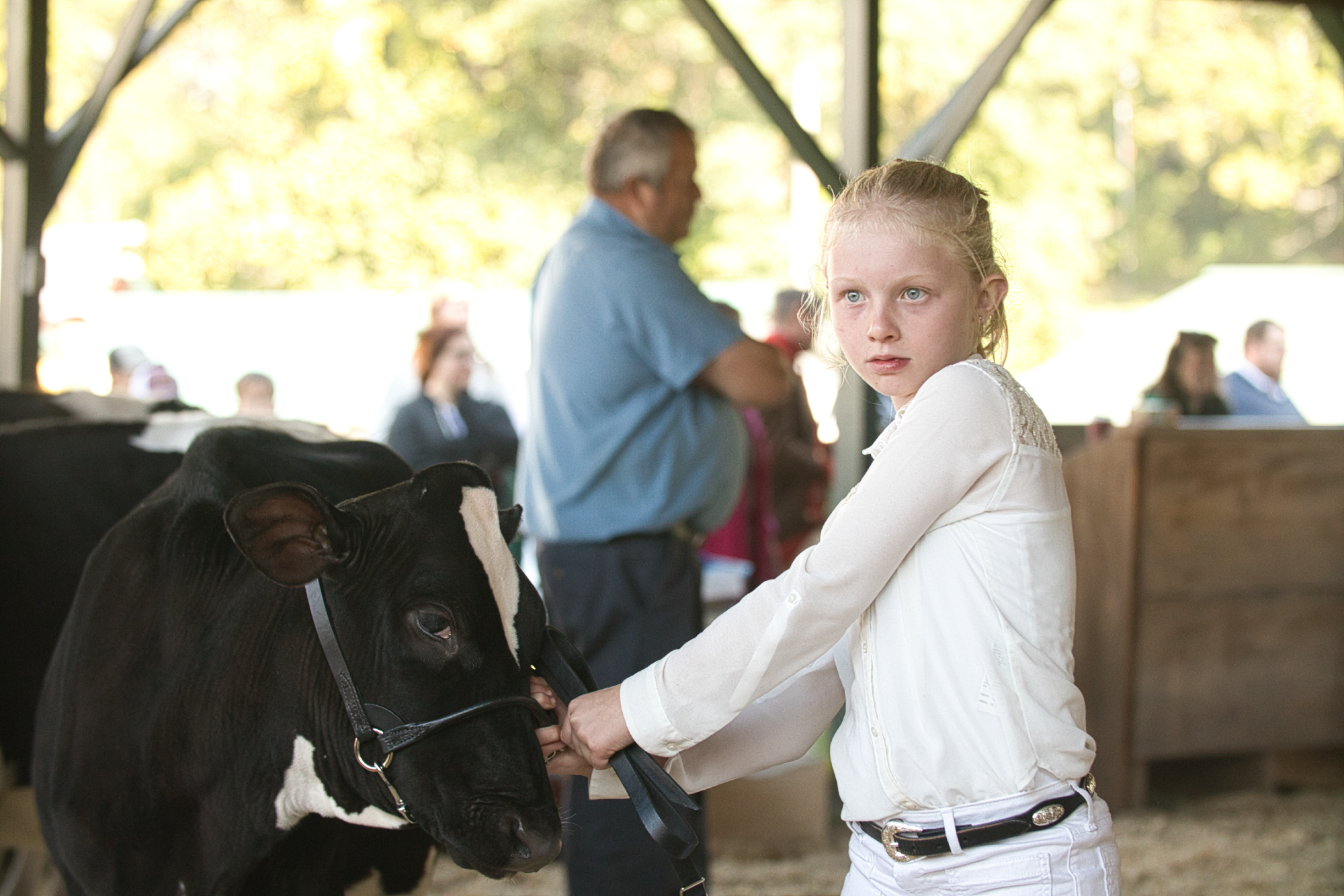 Aubree and Her Calf – Tunbridge World’s Fair