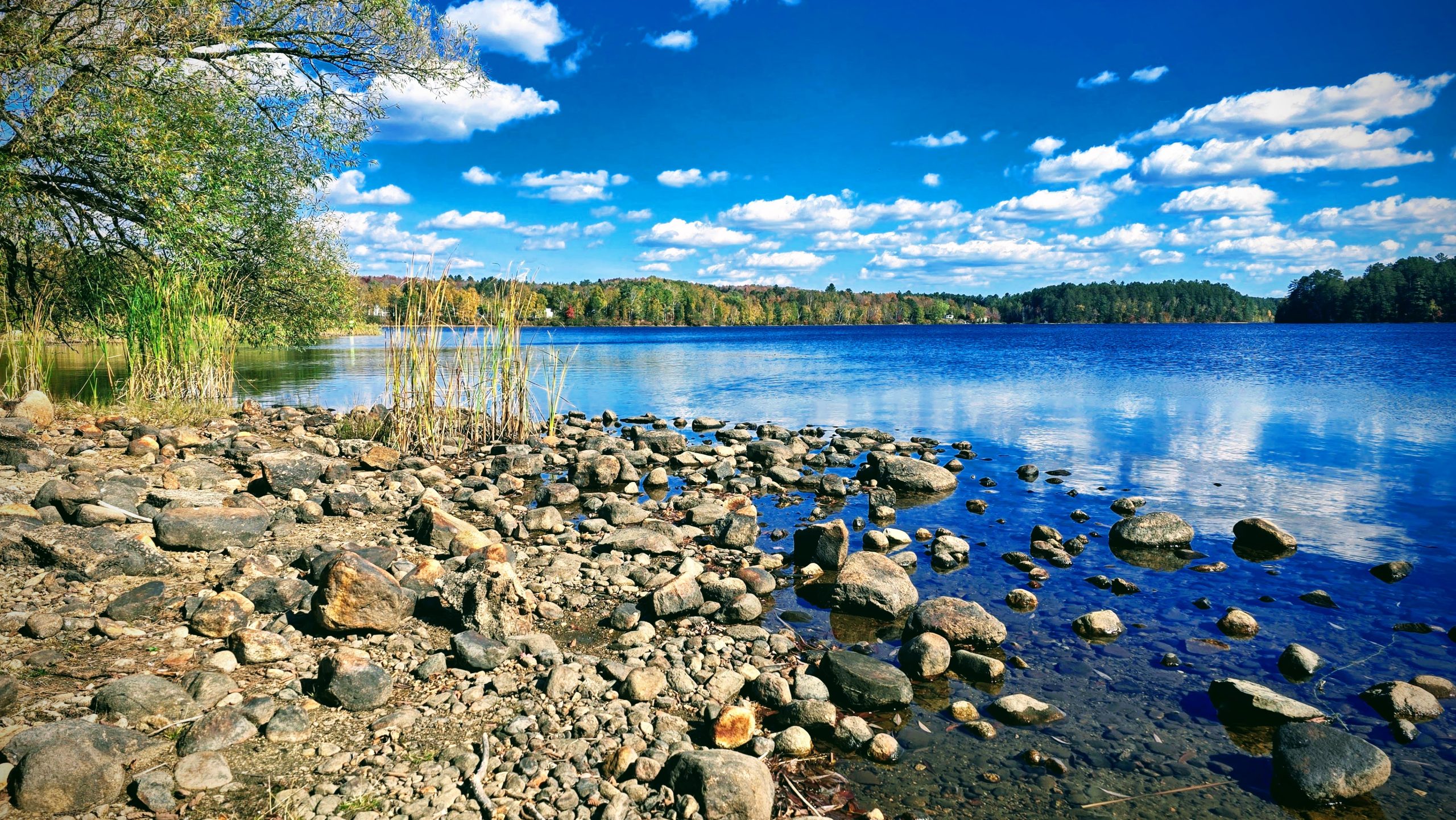 Shoreline Reflections – Island Pond, Vermont