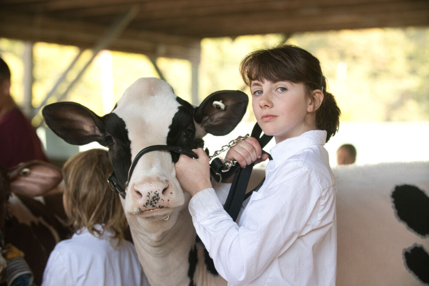 Published Photo: Youth Exhibitor at the Fair