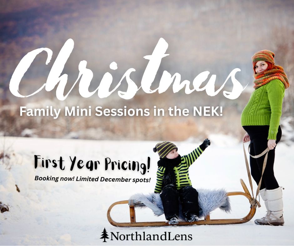 Looking for Family Christmas Photos This Year?