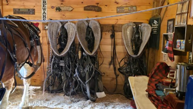 Inside the barn, work-worn harnesses, collars, and tack line the wall—tools of the trade at The Kingdom’s Horse Drawn Wagon and Sleigh Rides, where draft horses are prepared for winter journeys. (Photo by Tim Lenahan)