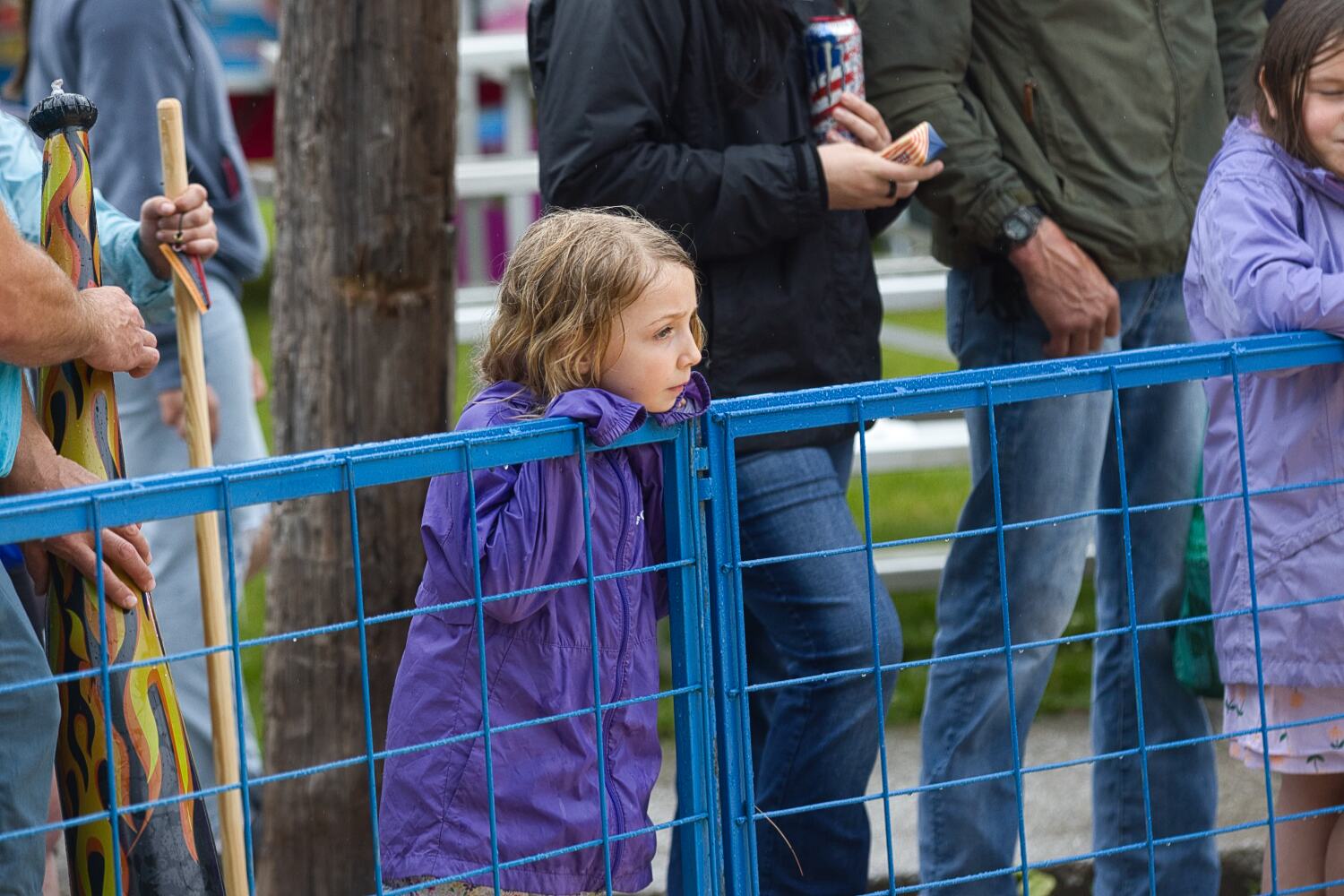 young girl watches pig races at Vermont Dairy Festival in Enosburg Falls Vermont.