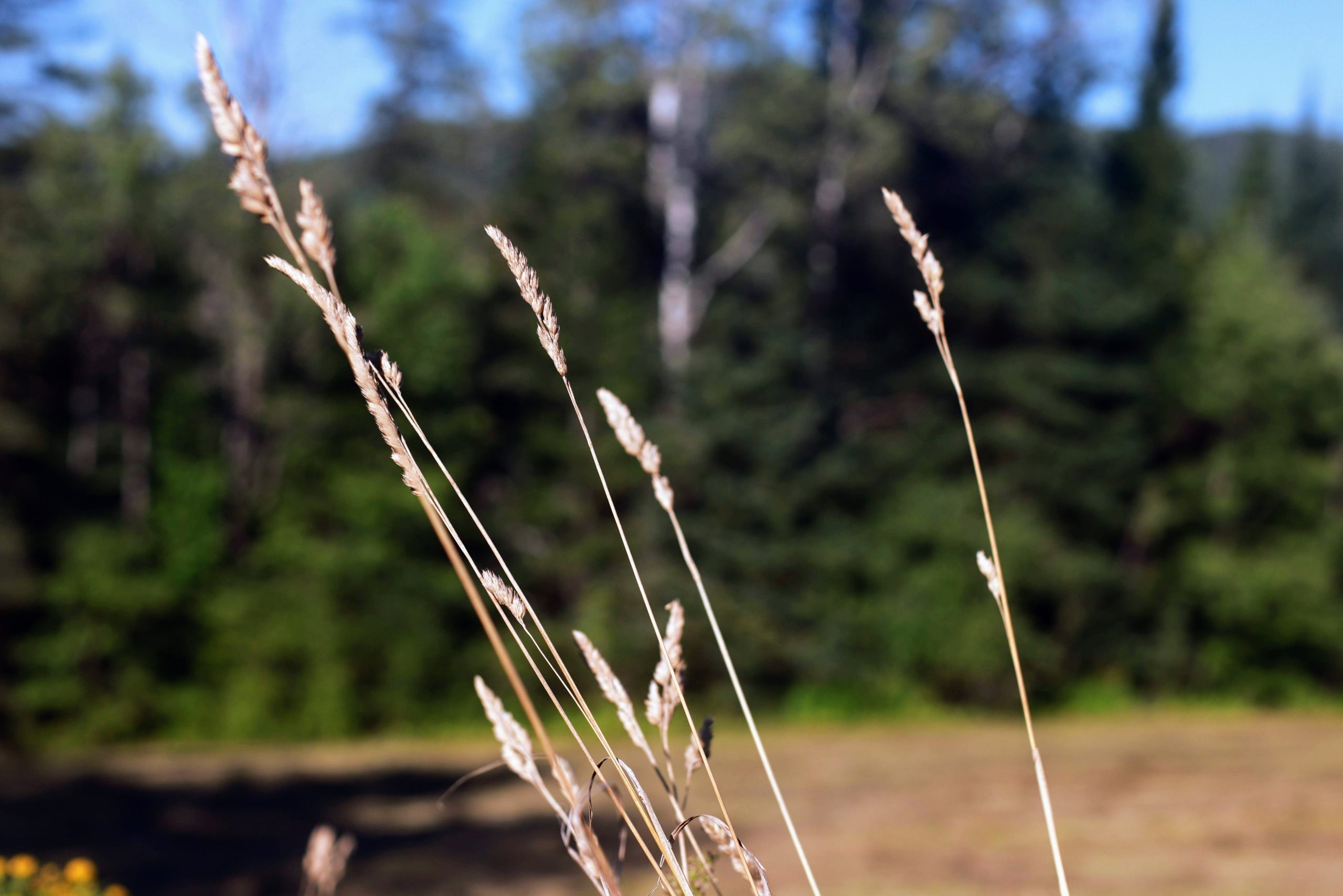Northland Note: The Quiet Work of August