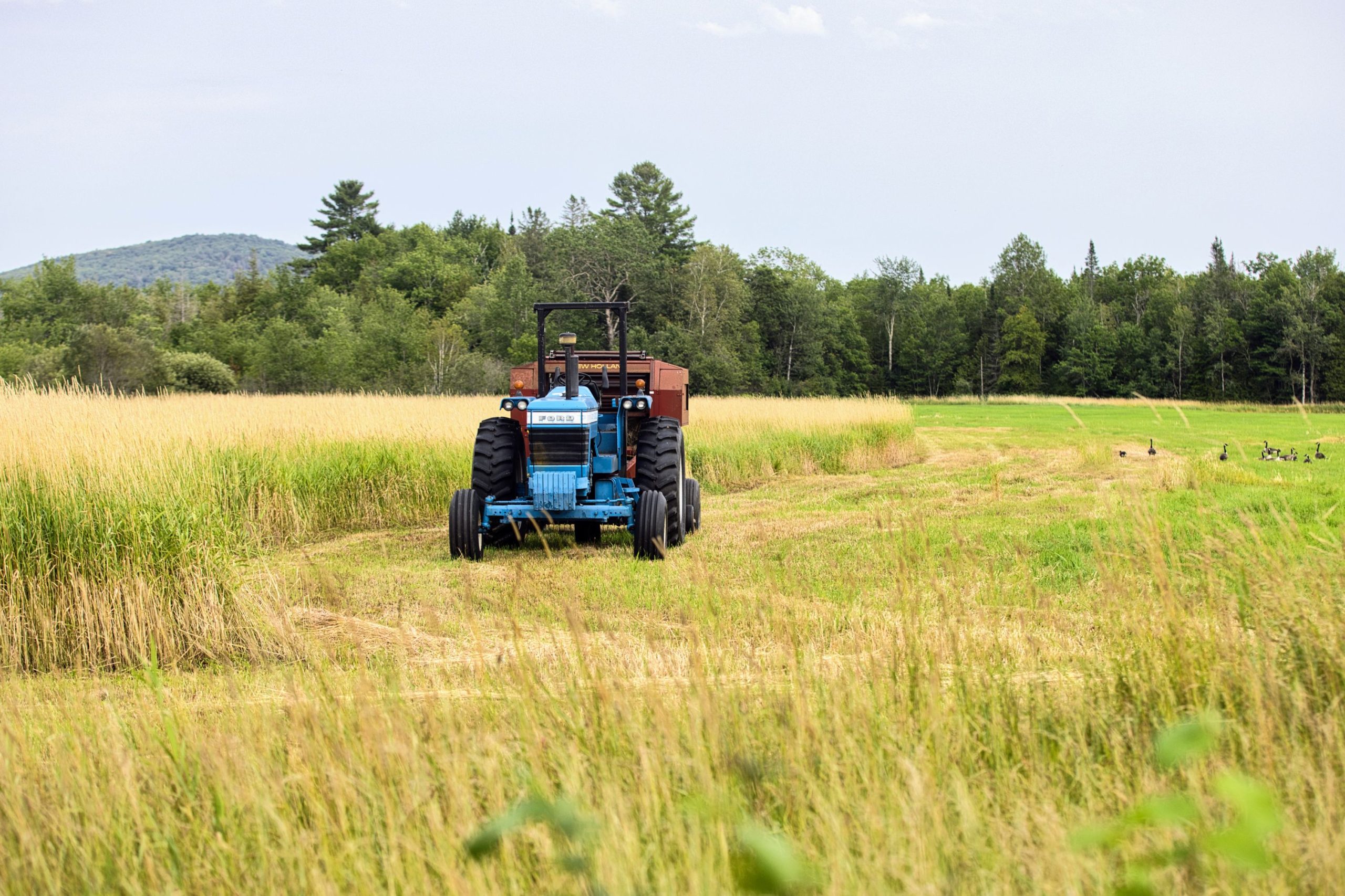 A tractor cuts hay in a field in Vermont’s Northeast Kingdom during the summer.